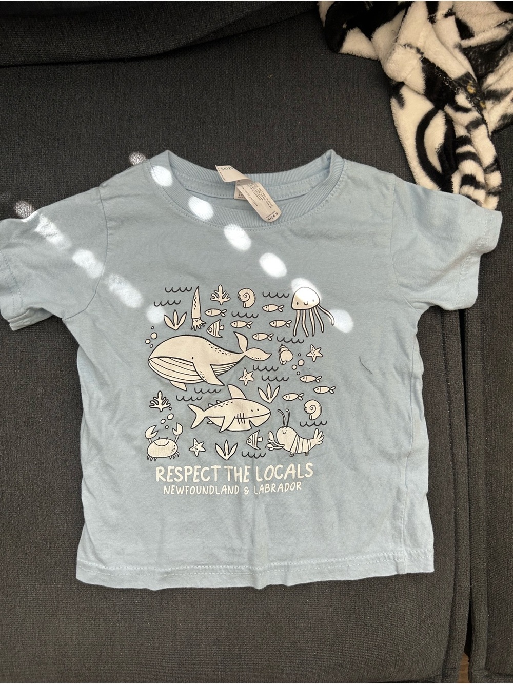 Respect The Locals Newfoundland Kids Graphic Tee
